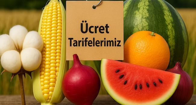 Ücret Tarifesi
